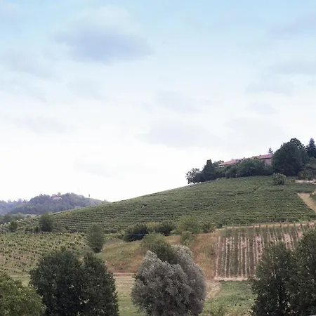 Primarosa * Nizza Monferrato